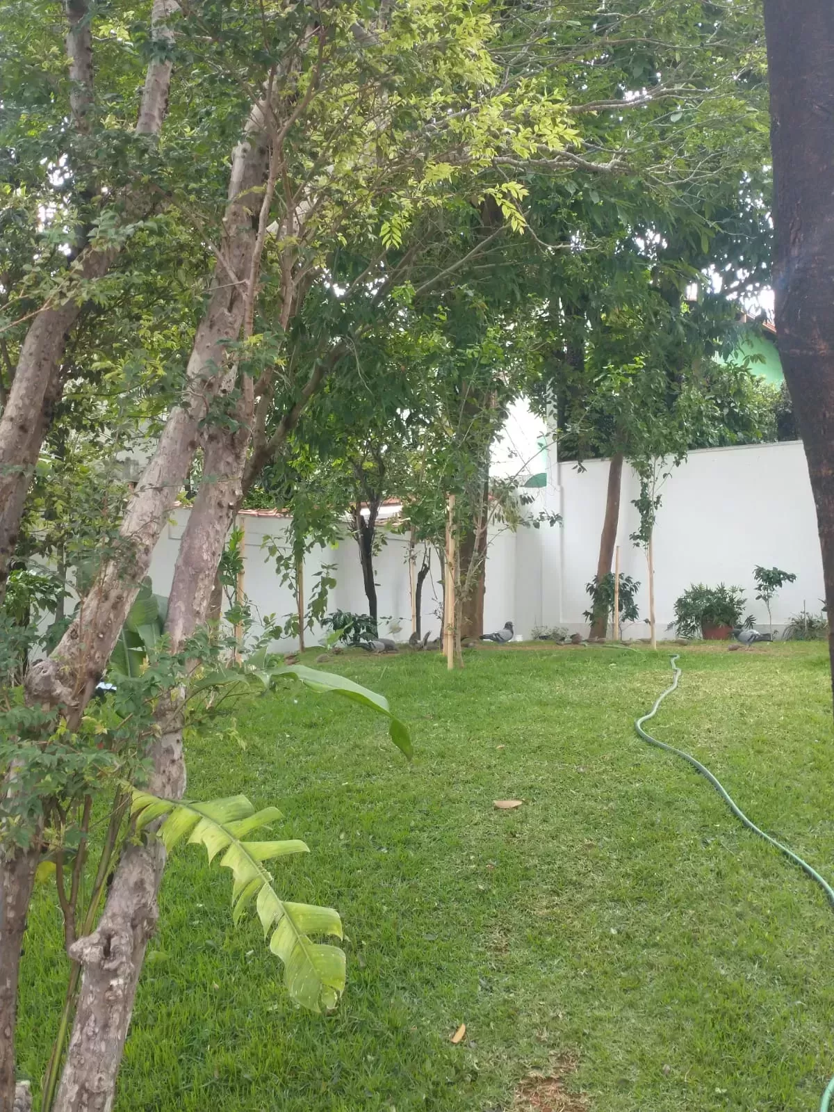 RESIDENCIAL W8 SANTA AMÉLIA — imagem 20
